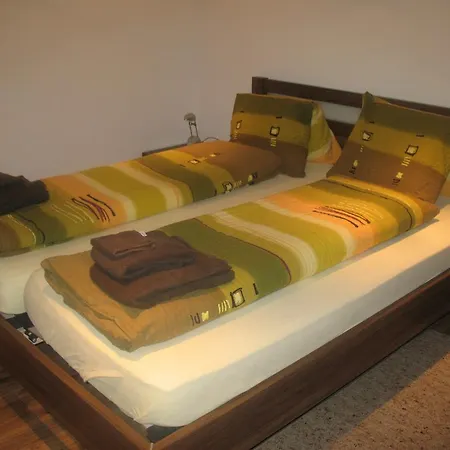 Mier Gfallt's Apartment Saas-Fee